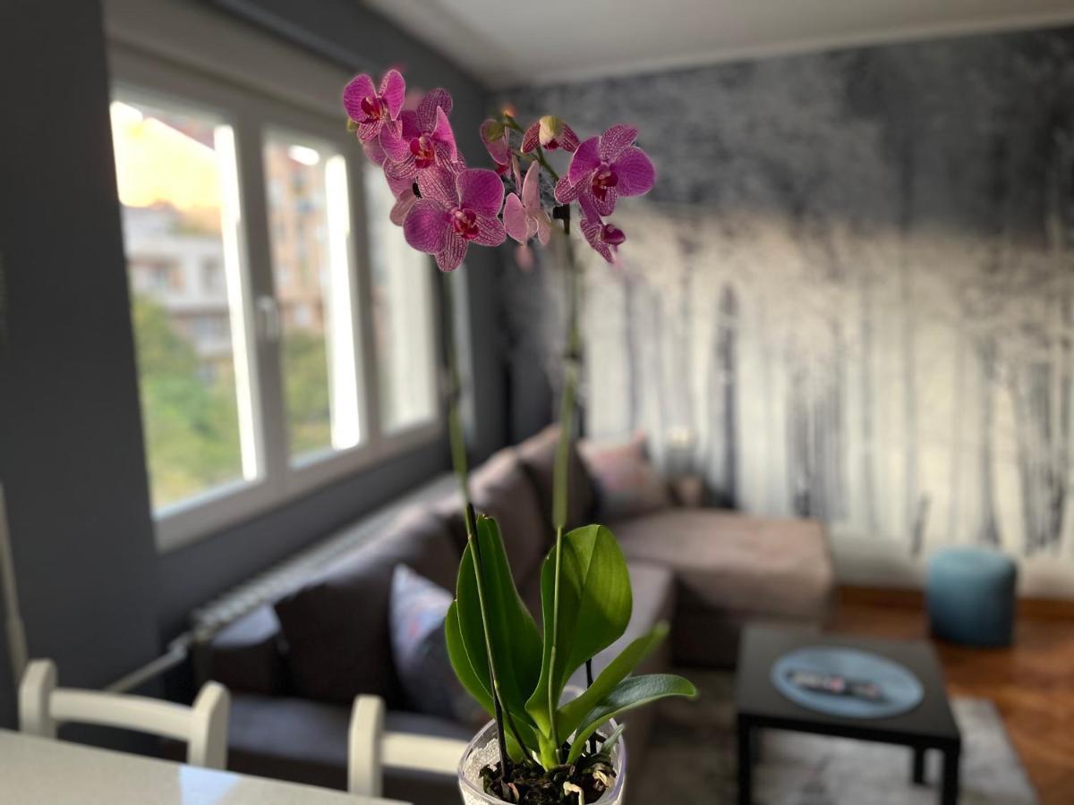 Apartman Avenia Νόβι Σαντ Εξωτερικό φωτογραφία