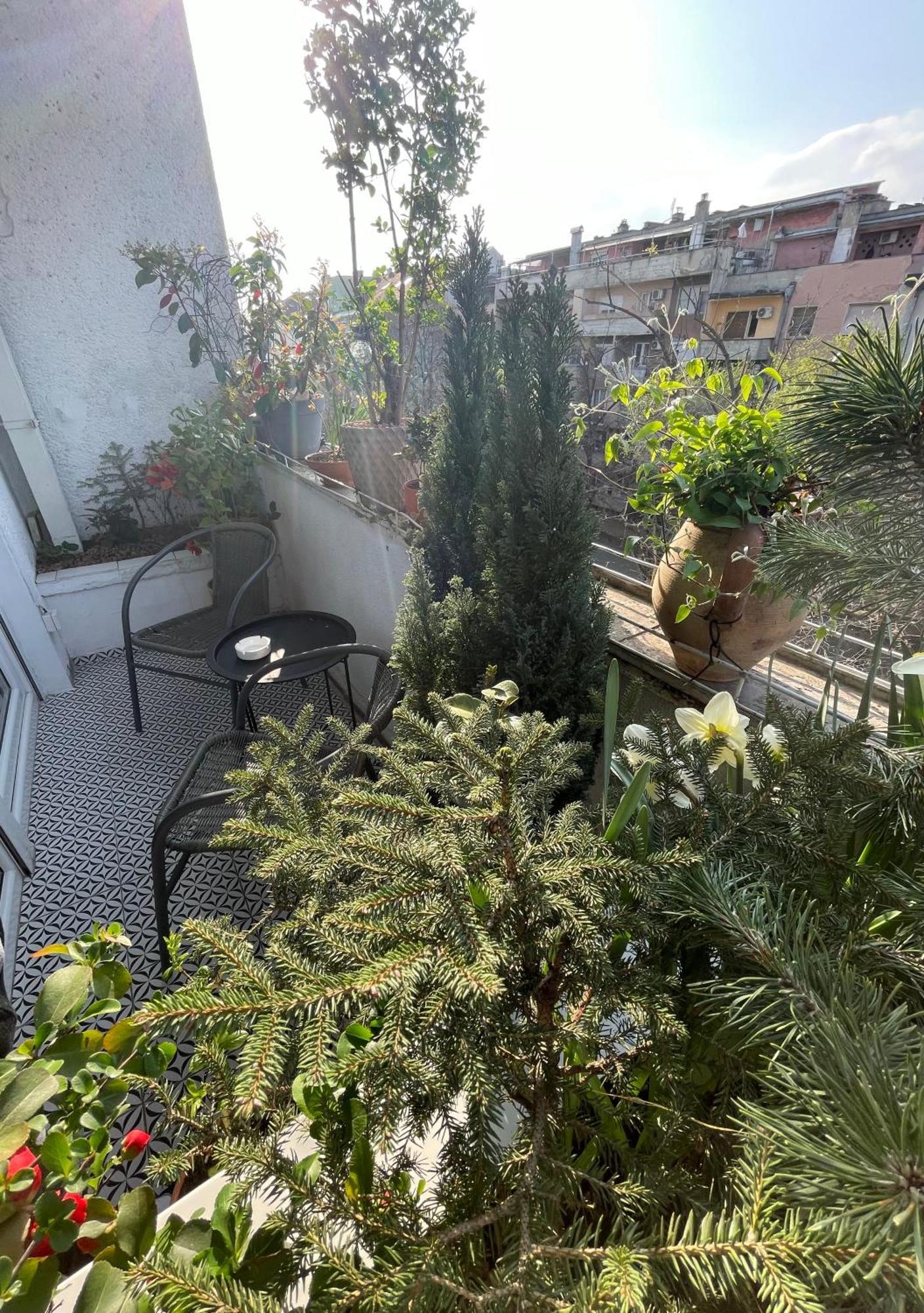 Apartman Avenia Νόβι Σαντ Εξωτερικό φωτογραφία